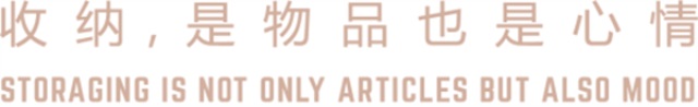 卓木鳥收納營(yíng)銷策劃案例