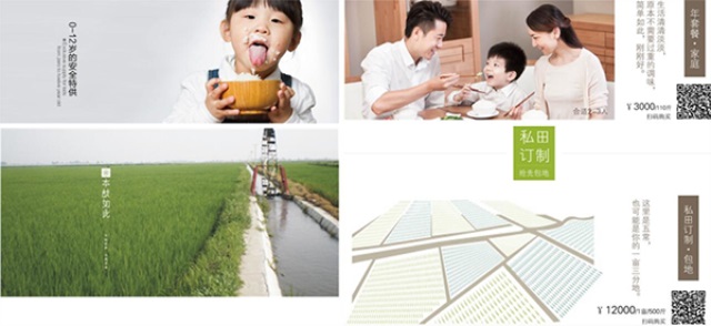 潮夫人·大米品牌營(yíng)銷策劃案例