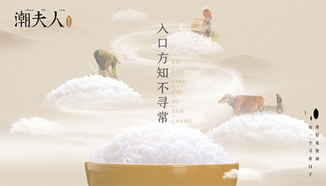 潮夫人·大米品牌營(yíng)銷策劃案例