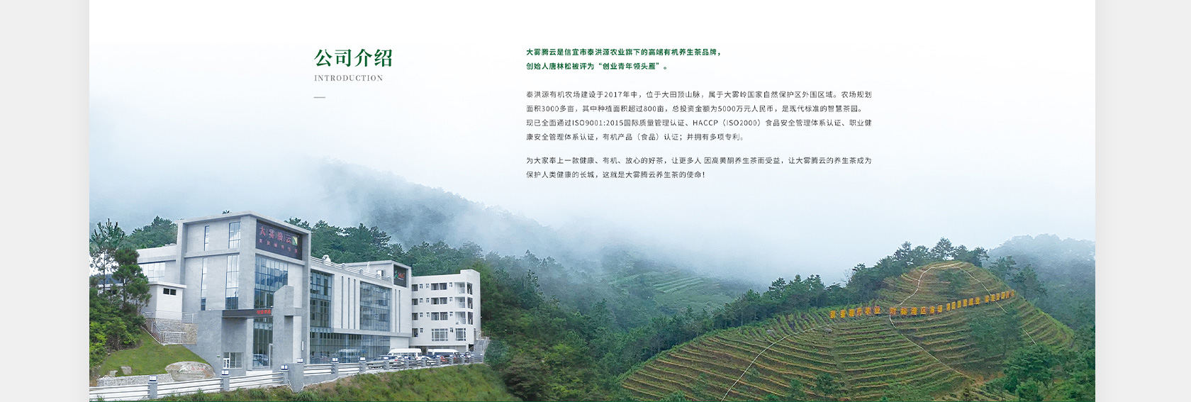 大霧騰云高黃酮茶網(wǎng)站設(shè)計(jì)