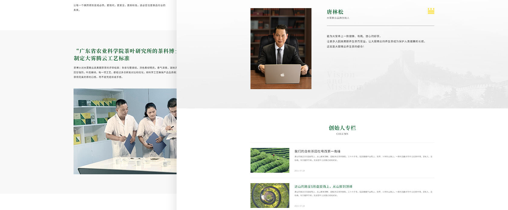 大霧騰云高黃酮茶網(wǎng)站設(shè)計(jì)